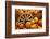 Pumpkins on Display-Darrell Gulin-Framed Photographic Print