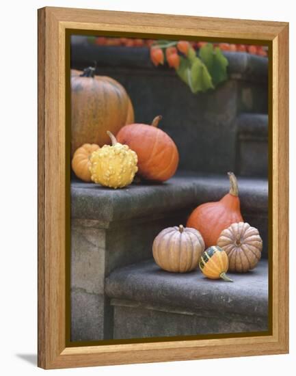 Pumpkins on Stairs-Alena Hrbkova-Framed Premier Image Canvas