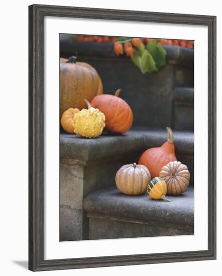 Pumpkins on Stairs-Alena Hrbkova-Framed Photographic Print