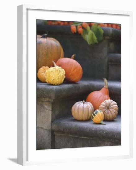 Pumpkins on Stairs-Alena Hrbkova-Framed Photographic Print