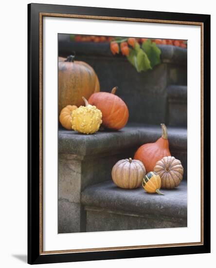 Pumpkins on Stairs-Alena Hrbkova-Framed Photographic Print