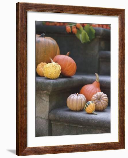 Pumpkins on Stairs-Alena Hrbkova-Framed Photographic Print