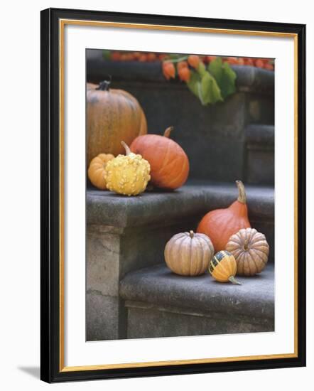 Pumpkins on Stairs-Alena Hrbkova-Framed Photographic Print