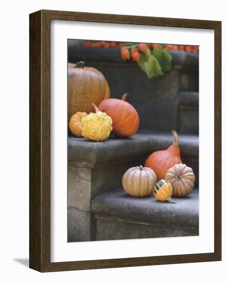 Pumpkins on Stairs-Alena Hrbkova-Framed Photographic Print