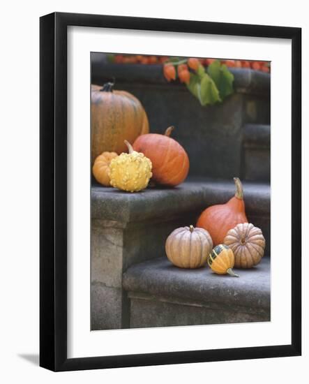 Pumpkins on Stairs-Alena Hrbkova-Framed Photographic Print