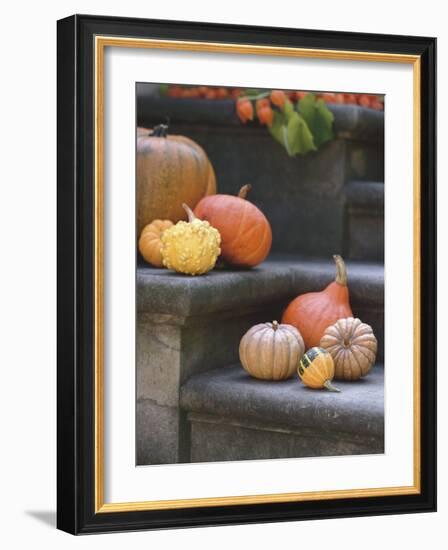 Pumpkins on Stairs-Alena Hrbkova-Framed Photographic Print