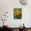 Pumpkins on the Plant-Bodo A^ Schieren-Photographic Print displayed on a wall