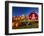Pumpkins on Wagon near Barn-Dave Reede-Framed Photographic Print