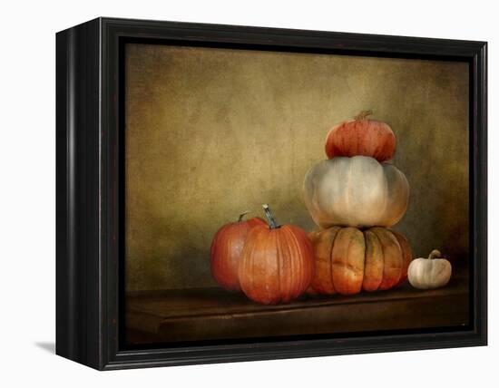 Pumpkins Still Life-Jai Johnson-Framed Premier Image Canvas