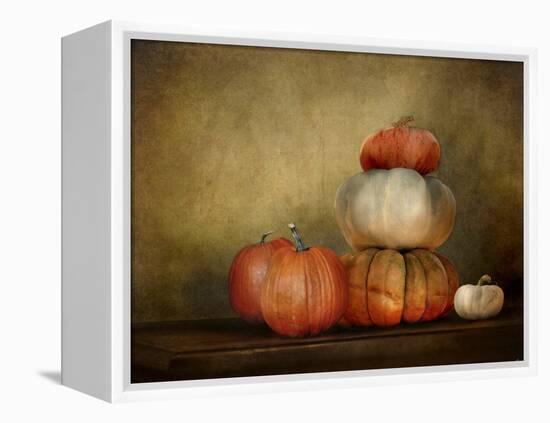 Pumpkins Still Life-Jai Johnson-Framed Premier Image Canvas