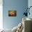 Pumpkins Still Life-Jai Johnson-Mounted Giclee Print displayed on a wall