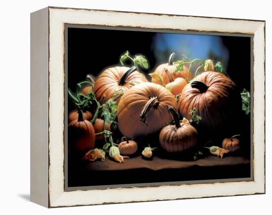 Pumpkins-ATU Studios-Framed Premier Image Canvas