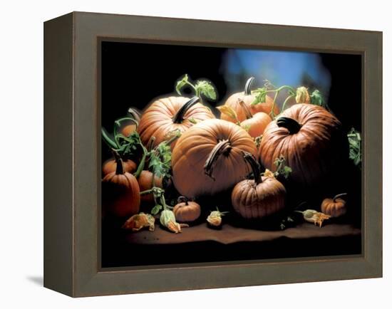 Pumpkins-ATU Studios-Framed Premier Image Canvas