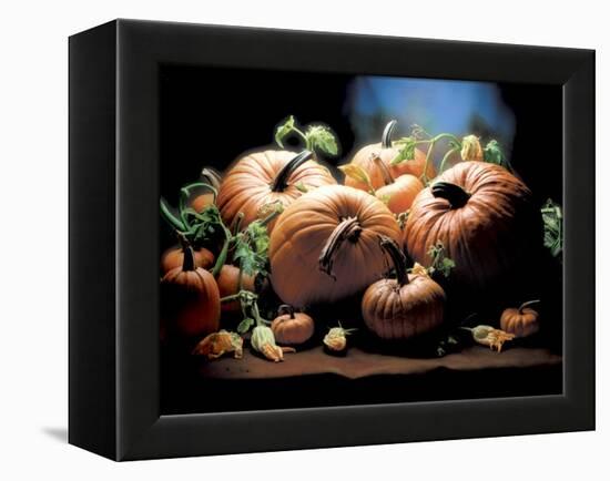 Pumpkins-ATU Studios-Framed Premier Image Canvas