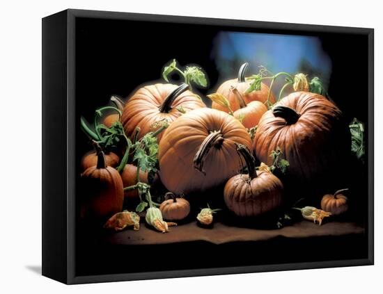 Pumpkins-ATU Studios-Framed Premier Image Canvas