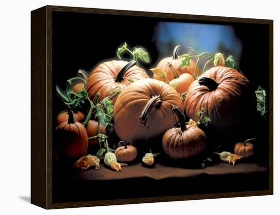 Pumpkins-ATU Studios-Framed Premier Image Canvas