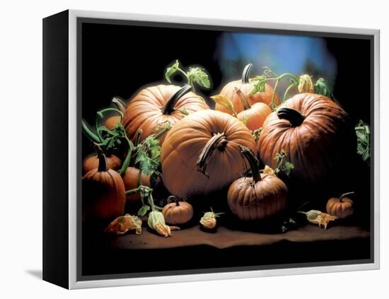 Pumpkins-ATU Studios-Framed Premier Image Canvas