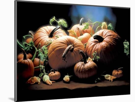 Pumpkins-ATU Studios-Mounted Photographic Print