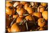 Pumpkins-Alan Hausenflock-Mounted Photographic Print