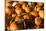 Pumpkins-Alan Hausenflock-Mounted Photographic Print