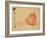 Pumpkins-Xu Gu-Framed Giclee Print