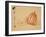 Pumpkins-Xu Gu-Framed Giclee Print