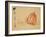 Pumpkins-Xu Gu-Framed Giclee Print