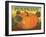 Pumpkins-Diane Pedersen-Framed Art Print