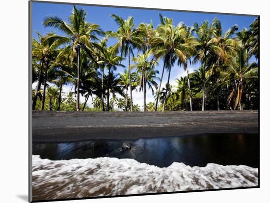 Punalu'U, Hawaii: the Punalu'U Black Sand Beach-Ian Shive-Mounted Photographic Print