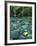 Punch Bowl Falls, Columbia Gorge National Scenic Area, Oregon, USA-Charles Gurche-Framed Photographic Print