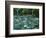 Punch Bowl Falls, Columbia Gorge National Scenic Area, Oregon, USA-Charles Gurche-Framed Photographic Print