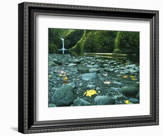 Punch Bowl Falls, Columbia Gorge National Scenic Area, Oregon, USA-Charles Gurche-Framed Photographic Print