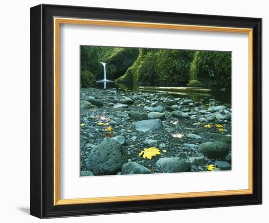 Punch Bowl Falls, Columbia Gorge National Scenic Area, Oregon, USA-Charles Gurche-Framed Photographic Print