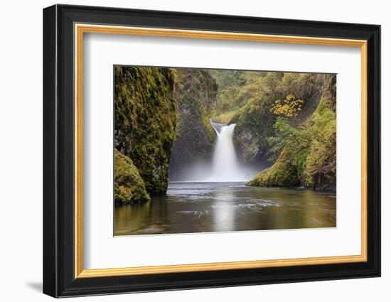 Punch Bowl Falls, Columbia River Gorge, Oregon, USA-Jamie & Judy Wild-Framed Photographic Print