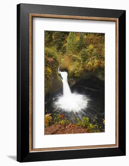 Punch Bowl Falls, Columbia River Gorge, Oregon, USA-Jamie & Judy Wild-Framed Photographic Print