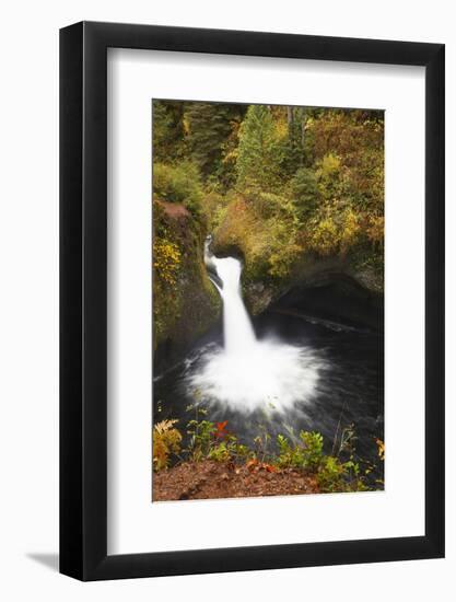 Punch Bowl Falls, Columbia River Gorge, Oregon, USA-Jamie & Judy Wild-Framed Photographic Print