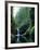 Punch Bowl Falls, Eagle Creek, Columbia River Gorge Scenic Area, Oregon, USA-Janis Miglavs-Framed Photographic Print