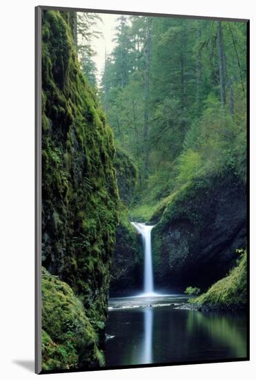 Punch Bowl Falls, Eagle Creek, Columbia River Gorge Scenic Area, Oregon, USA-Janis Miglavs-Mounted Photographic Print