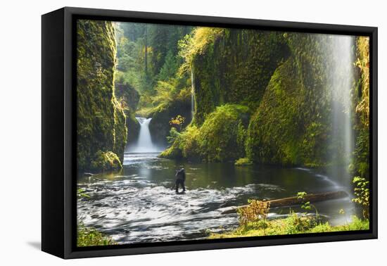 Punchbowl Falls in Eagle Creek, Columbia Gorge, Oregon, USA-Gary Luhm-Framed Premier Image Canvas