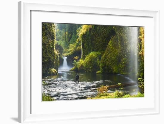 Punchbowl Falls in Eagle Creek, Columbia Gorge, Oregon, USA-Gary Luhm-Framed Photographic Print