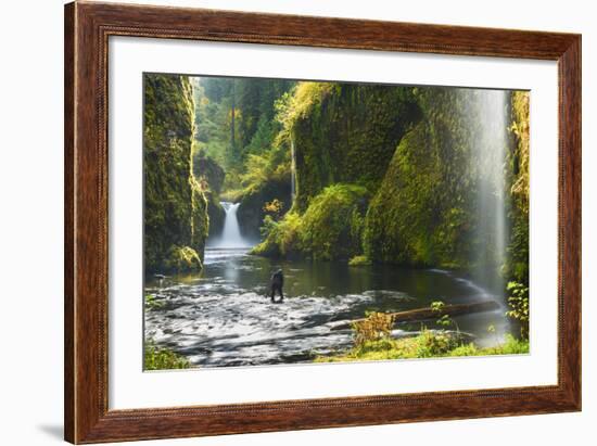 Punchbowl Falls in Eagle Creek, Columbia Gorge, Oregon, USA-Gary Luhm-Framed Photographic Print