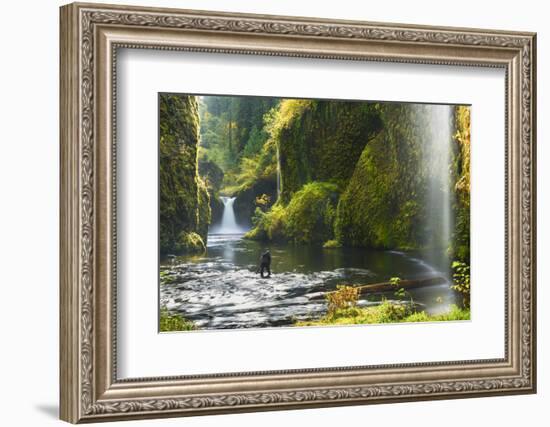 Punchbowl Falls in Eagle Creek, Columbia Gorge, Oregon, USA-Gary Luhm-Framed Photographic Print