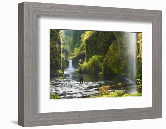 Punchbowl Falls in Eagle Creek, Columbia Gorge, Oregon, USA-Gary Luhm-Framed Photographic Print