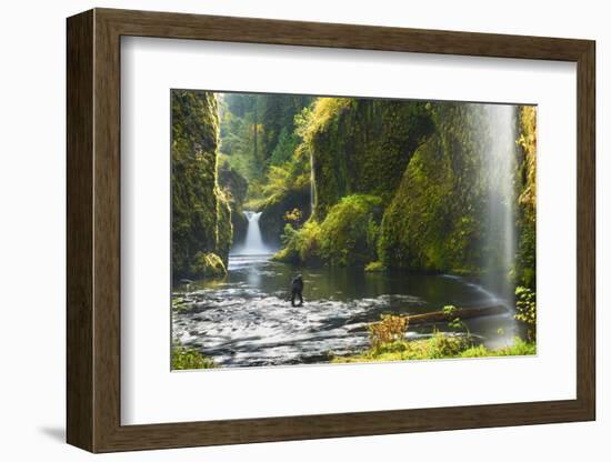 Punchbowl Falls in Eagle Creek, Columbia Gorge, Oregon, USA-Gary Luhm-Framed Photographic Print