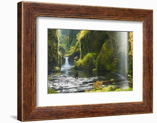 Punchbowl Falls in Eagle Creek, Columbia Gorge, Oregon, USA-Gary Luhm-Framed Photographic Print