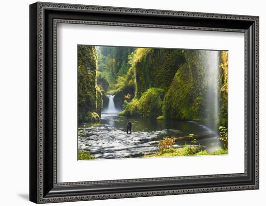 Punchbowl Falls in Eagle Creek, Columbia Gorge, Oregon, USA-Gary Luhm-Framed Photographic Print