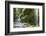 Punchbowl Falls in Eagle Creek, Columbia Gorge, Oregon, USA-Gary Luhm-Framed Photographic Print