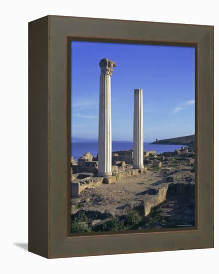 Punic/Roman Ruins of City Founded by Phoenicians in 730 BC, Tharros, Sardinia, Italy, Europe-Sheila Terry-Framed Premier Image Canvas