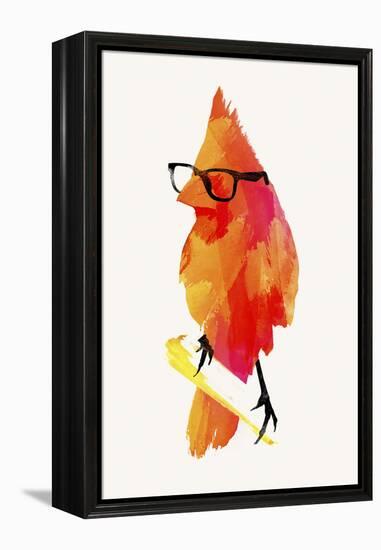 Punk Birdy-Robert Farkas-Framed Premier Image Canvas