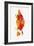 Punk Birdy-Robert Farkas-Framed Giclee Print